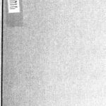 خرید و دانلود نسخه کامل کتاب Diccionario araucano-español y español-araucano, tomo I