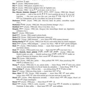 خرید و دانلود نسخه کامل کتاب Dictionnaire cam-français