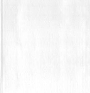 خرید و دانلود نسخه کامل کتاب Dictionnaire somali-français