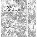 خرید و دانلود نسخه کامل کتاب Dinka grammar