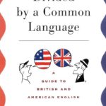 خرید و دانلود نسخه کامل کتاب Divided by a common language : a guide to British and American English