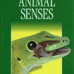 خرید و دانلود نسخه کامل کتاب Dk Elt Graded Readers – Elementary a: Animal Senses (Elt Readers)