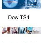 خرید و دانلود نسخه کامل کتاب Dow TS4 system
