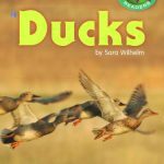 خرید و دانلود نسخه کامل کتاب Ducks