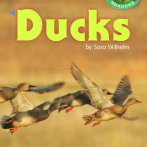 خرید و دانلود نسخه کامل کتاب Ducks