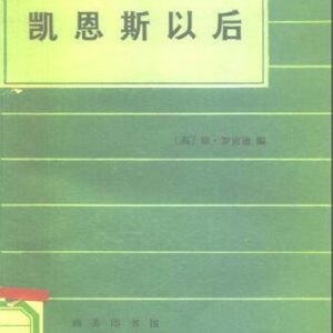 خرید و دانلود نسخه کامل کتاب 凯恩斯以后