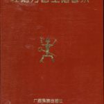 خرید و دانلود نسخه کامل کتاب 壮语方言土语音系