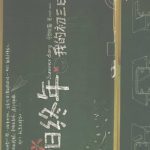 خرید و دانلود نسخه کامل کتاب 夏日终年: 我的初三日记