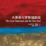 خرید و دانلود نسخه کامل کتاب 大萧条与罗斯福新政