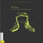 خرید و دانلود نسخه کامل کتاب 审判为什么不公正: 西方审判史