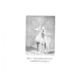 خرید و دانلود نسخه کامل کتاب 春秋时期的步兵