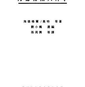 خرید و دانلود نسخه کامل کتاب 海德格爾與神學