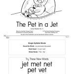 خرید و دانلود نسخه کامل کتاب Early Reading: No.5 The Pet in a Jet (Book)