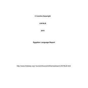 خرید و دانلود نسخه کامل کتاب Egyptian Language Report