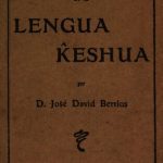 خرید و دانلود نسخه کامل کتاب Elementos de gramática de la lengua k̂eshua
