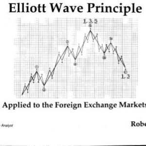 خرید و دانلود نسخه کامل کتاب Elliott Wave Principle