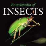 خرید و دانلود نسخه کامل کتاب Encyclopedia of Insects, Second Edition