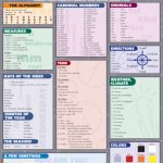 خرید و دانلود نسخه کامل کتاب English As a Second Language (Quickstudy Reference Guides – Academic)