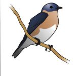 خرید و دانلود نسخه کامل کتاب English World 1. Flashcards. Unit 6