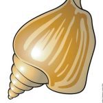 خرید و دانلود نسخه کامل کتاب English World 2. Flashcards. Unit 10