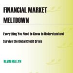 خرید و دانلود نسخه کامل کتاب Financial Market Meltdown: Everything You Need to Know to Understand and Survive the Global Credit Crisis