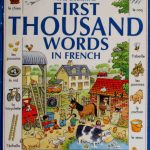 خرید و دانلود نسخه کامل کتاب First Thousand Words in French