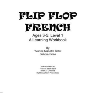خرید و دانلود نسخه کامل کتاب Flip Flop French
