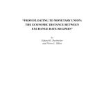 خرید و دانلود نسخه کامل کتاب From Floating to Monetary Union: The Economic Distance between Exchange Rate Regimes