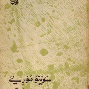 خرید و دانلود نسخه کامل کتاب Gilti Shina Proverbs