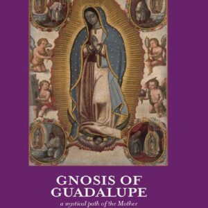 خرید و دانلود نسخه کامل کتاب Gnosis of Guadalupe: A Mystical Path of the Mother