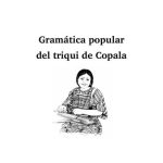 خرید و دانلود نسخه کامل کتاب Gramática Popular del Triqui de Copala