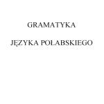خرید و دانلود نسخه کامل کتاب Gramatyka języka połabskiego