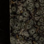 خرید و دانلود نسخه کامل کتاب Grammaire de la langue d’oil, ou Grammaire des dialectes français aux 12e et 13e siècles. Volume 3