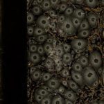 خرید و دانلود نسخه کامل کتاب Grammaire de la langue d’oil, ou Grammaire des dialectes français aux 12e et 13e siècles. Volume 2