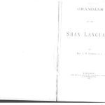 خرید و دانلود نسخه کامل کتاب Grammar of the Shan language