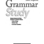 خرید و دانلود نسخه کامل کتاب Grammar Study