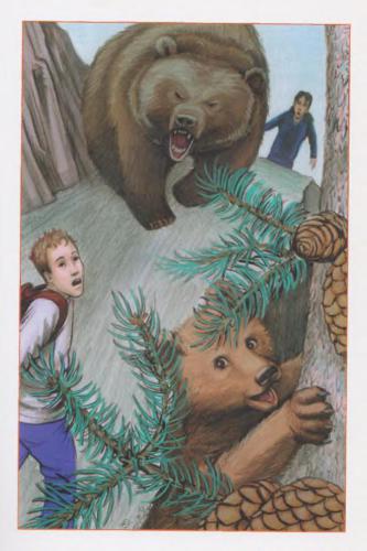 خرید و دانلود نسخه کامل کتاب Grizzly_68c2c55ee287d.jpeg خرید و دانلود نسخه کامل کتاب Grizzly