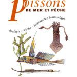 خرید و دانلود نسخه کامل کتاب Guide des poissons de mer et pêche : biologie, pêche, importance économique