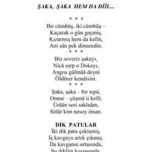 خرید و دانلود نسخه کامل کتاب Gülümsemää – diil günaa