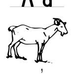 خرید و دانلود نسخه کامل کتاب Gumuz flash cards