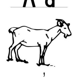 خرید و دانلود نسخه کامل کتاب Gumuz flash cards