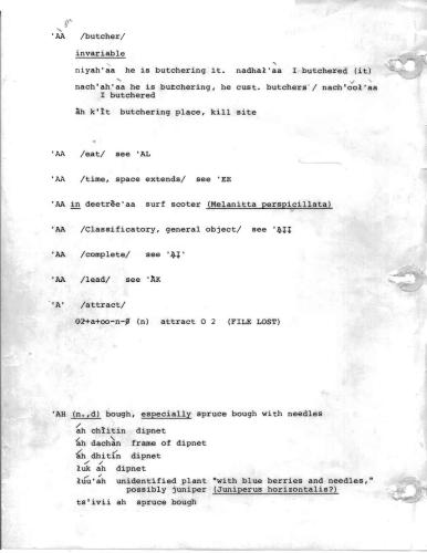 خرید و دانلود نسخه کامل کتاب Gwich’in stem-based lexical file_68b83d94b39a7.jpeg خرید و دانلود نسخه کامل کتاب Gwich’in stem-based lexical file