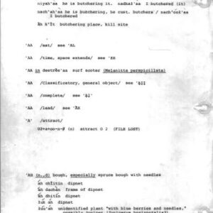 خرید و دانلود نسخه کامل کتاب Gwich’in stem-based lexical file