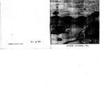 خرید و دانلود نسخه کامل کتاب Hadiyyisa laatiin fidalinne awwaaxximmi awwansa. ሀድይኛን በላቲን ፊደል ኣጠቃቀም መመሪያ