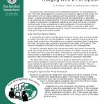 خرید و دانلود نسخه کامل کتاب Hedging With a Put Option