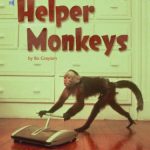 خرید و دانلود نسخه کامل کتاب Helper Monkeys