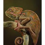 خرید و دانلود نسخه کامل کتاب How I Made 2 Million in the Stock Market