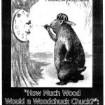 خرید و دانلود نسخه کامل کتاب How Much Wood Would a Woodchuck Chuck?: English Pronunciation Practice Book