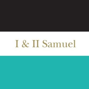 خرید و دانلود نسخه کامل کتاب I & II Samuel: A Commentary