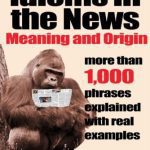 خرید و دانلود نسخه کامل کتاب Idioms in the News – 1, 000 phrases, real examples